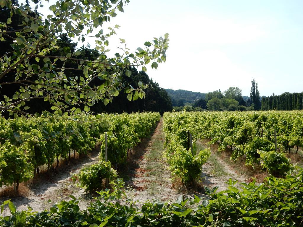 Domaine De Blanche Fleur Hotel Chateauneuf-de-Gadagne Luaran gambar